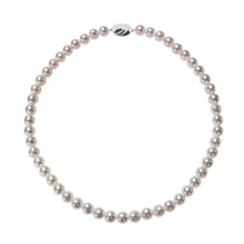 Load image into Gallery viewer, 8.0-8.5 mm